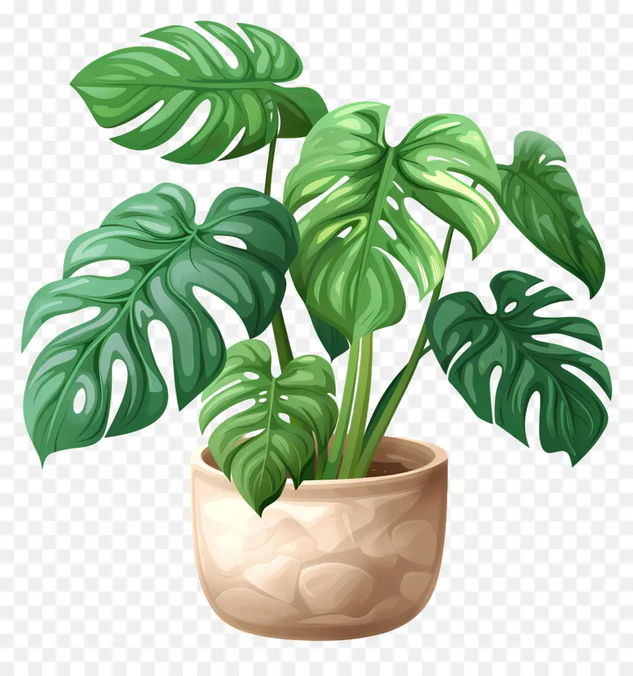 Plante En Pot，Feuilles Vertes PNG