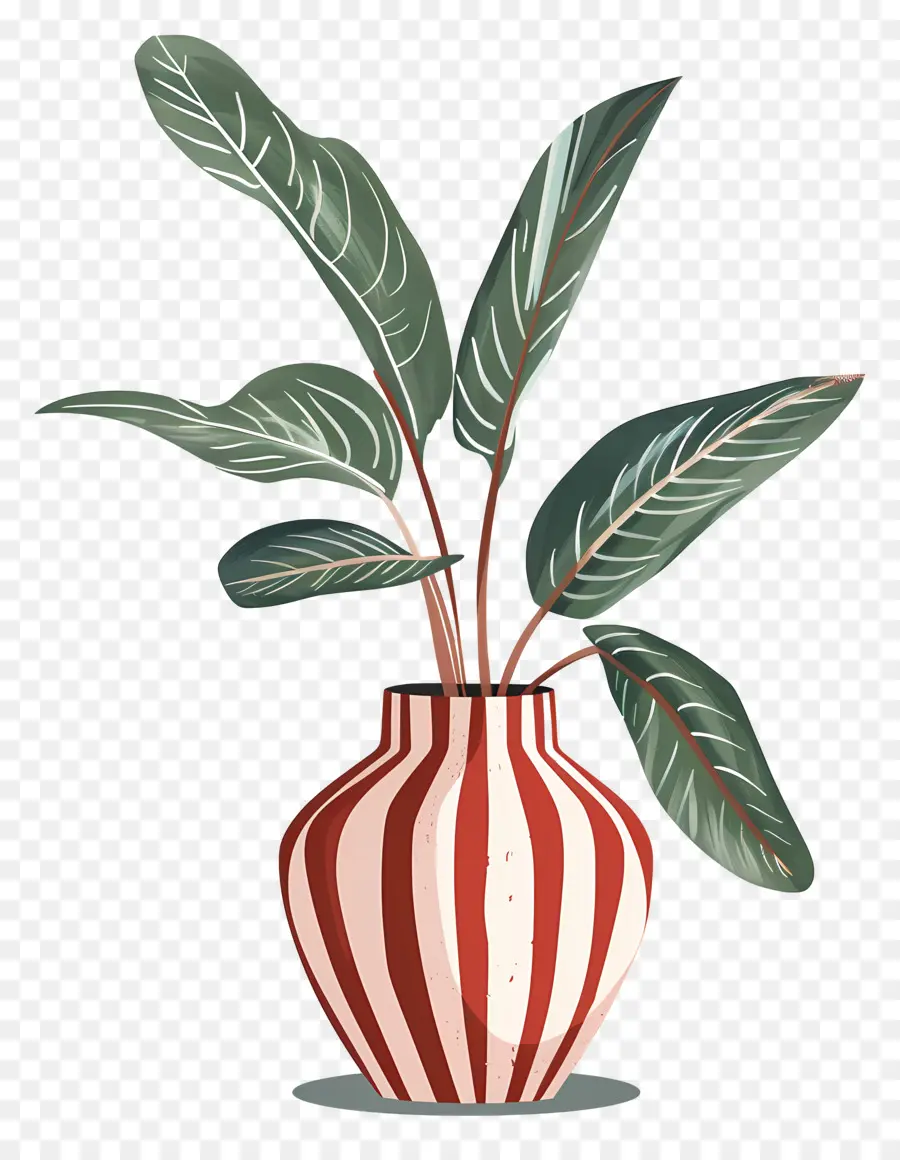 Plante Tropicale，Vase PNG