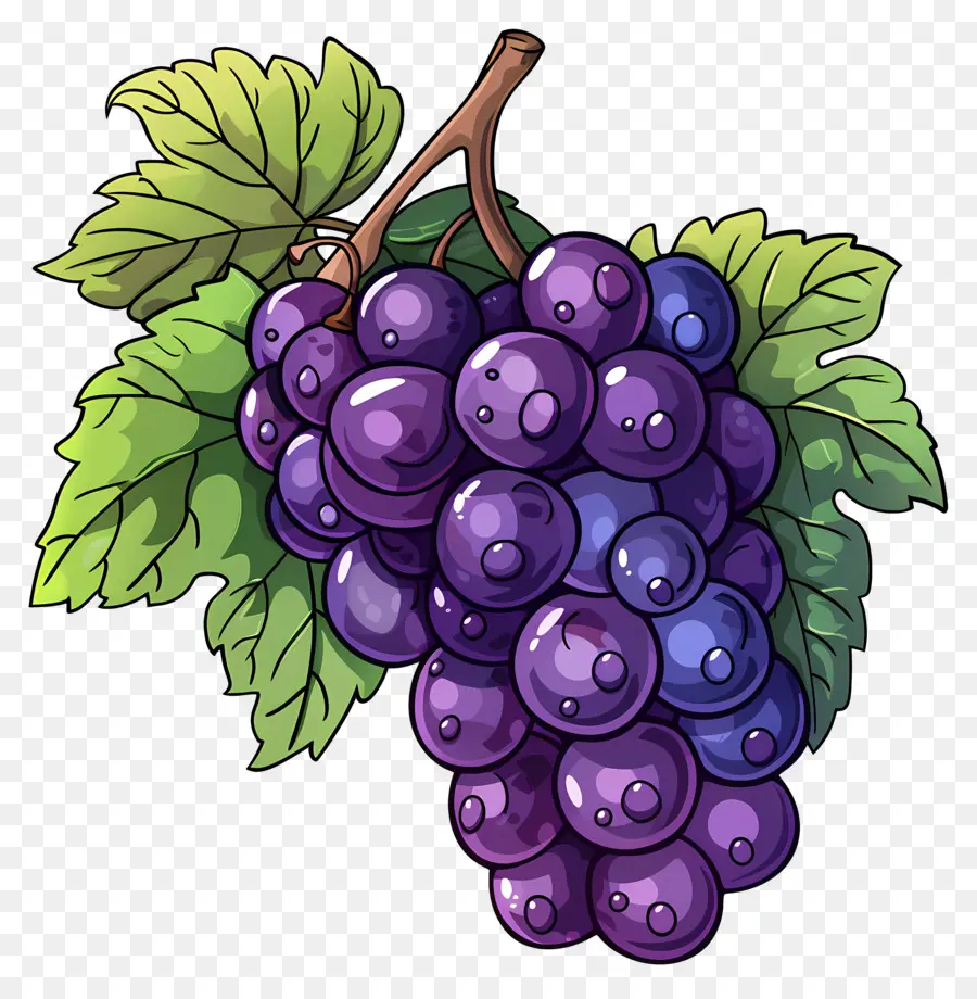 Raisins，Violet PNG