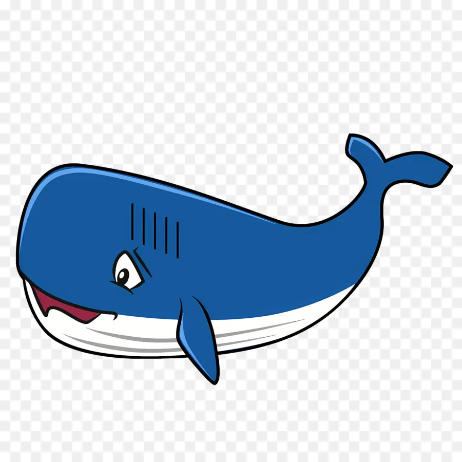 Baleine，Dessin Animé De La Baleine PNG