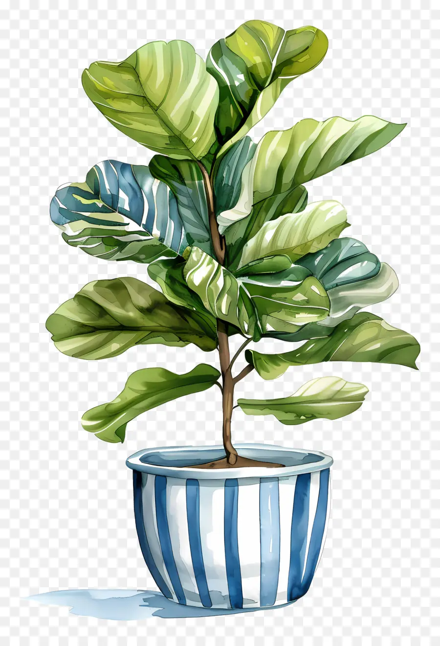 Plante En Pot，Feuilles PNG