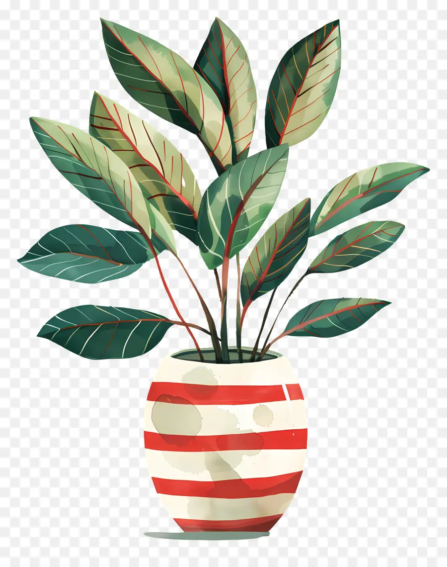 Plante En Pot，Feuilles PNG