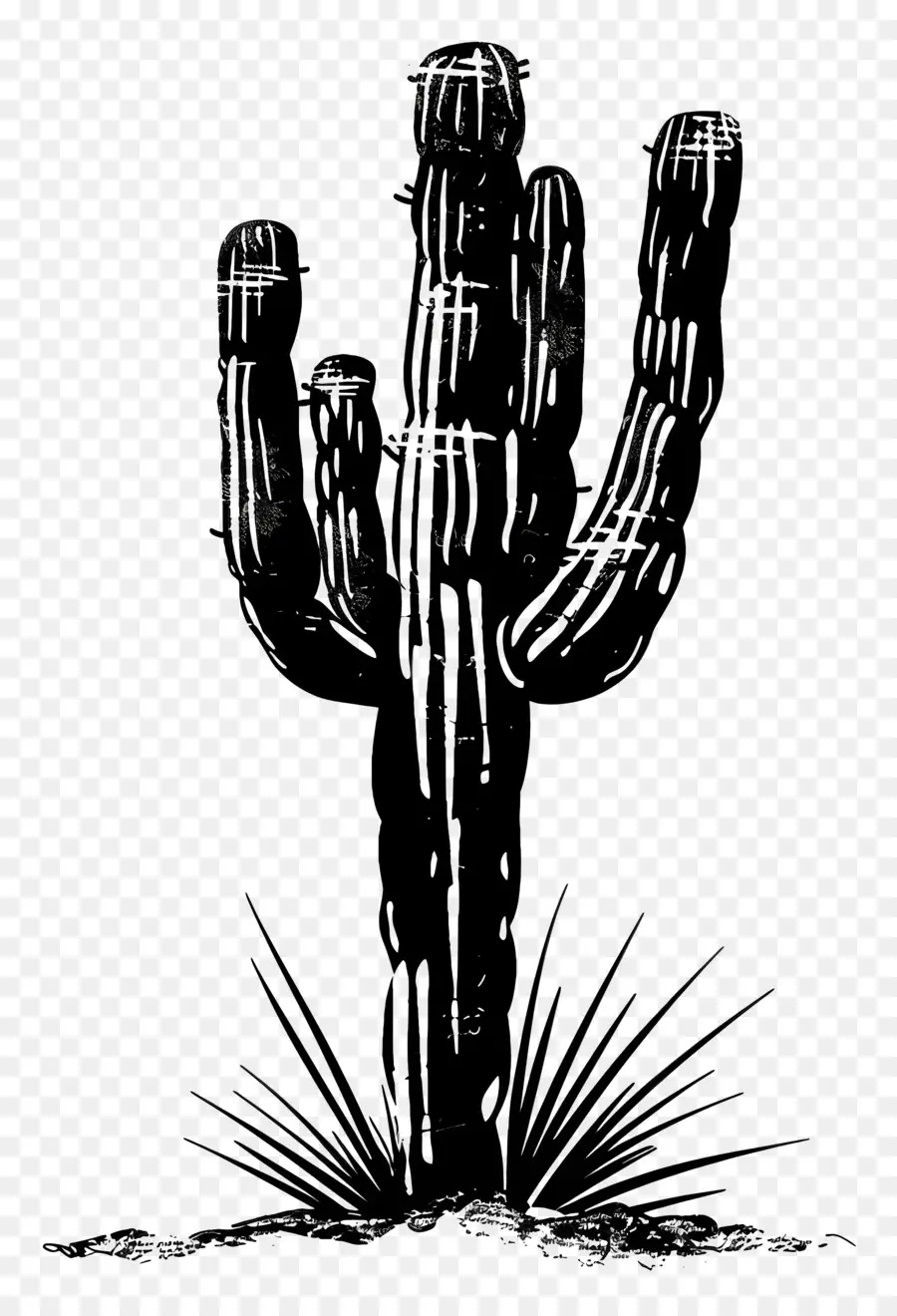 Silhouette De Cactus Saguaro，Cactus PNG