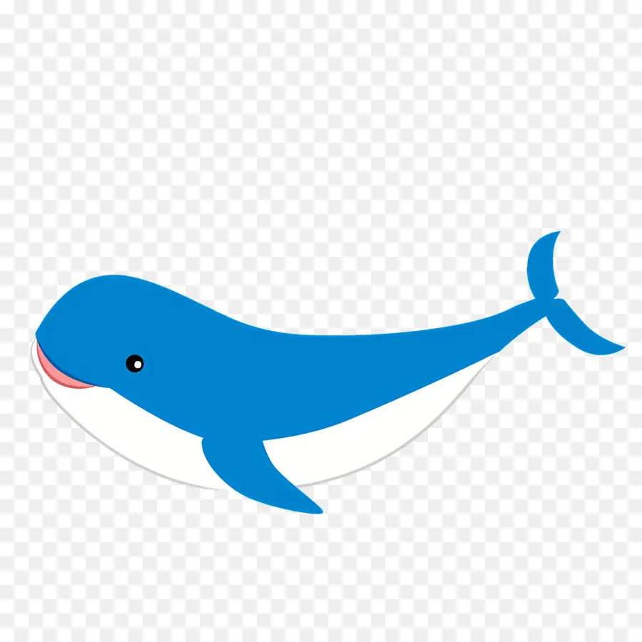 Baleine，Bleu PNG