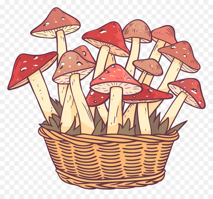 Champignons En Panier，Champignons PNG