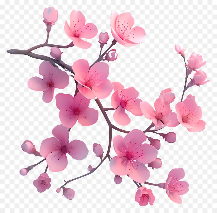 Comte Sakura，La Floraison Des Arbres PNG