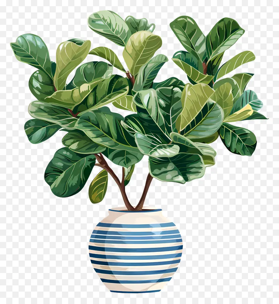 Plante En Pot，Feuilles PNG