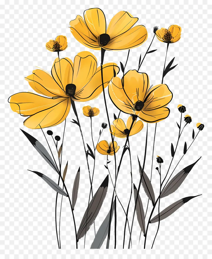 Fleurs Jaunes，Marguerites Jaunes PNG