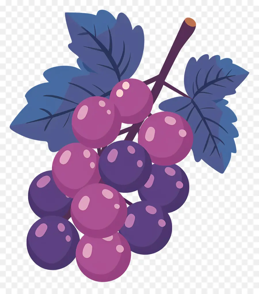 Raisins，Violet PNG