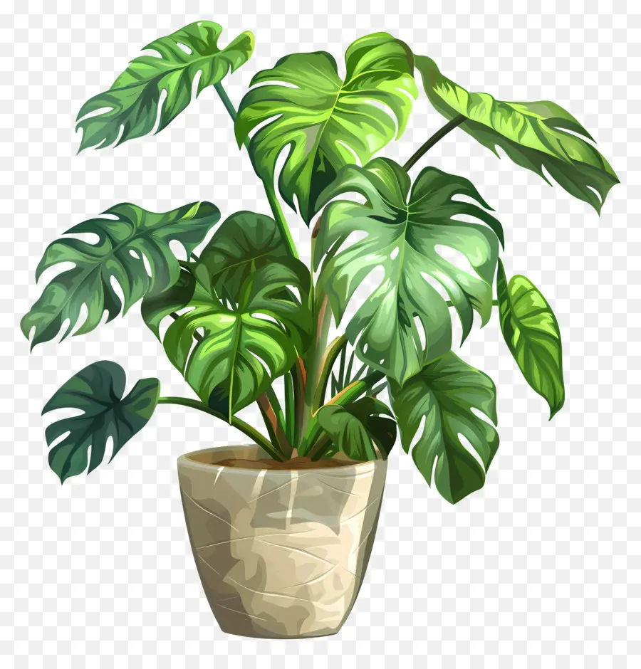 Plante En Pot，Feuilles PNG