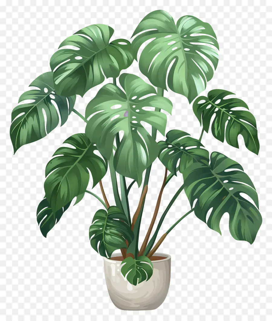 Plante En Pot，Feuilles PNG