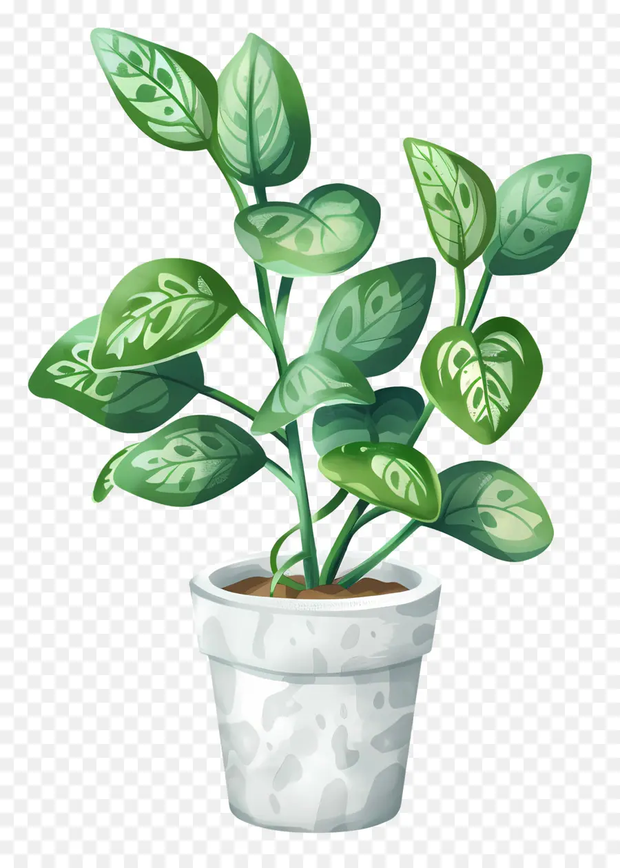 Plante En Pot，Feuilles PNG