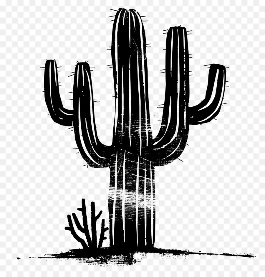 Silhouette De Cactus Saguaro，Cactus PNG