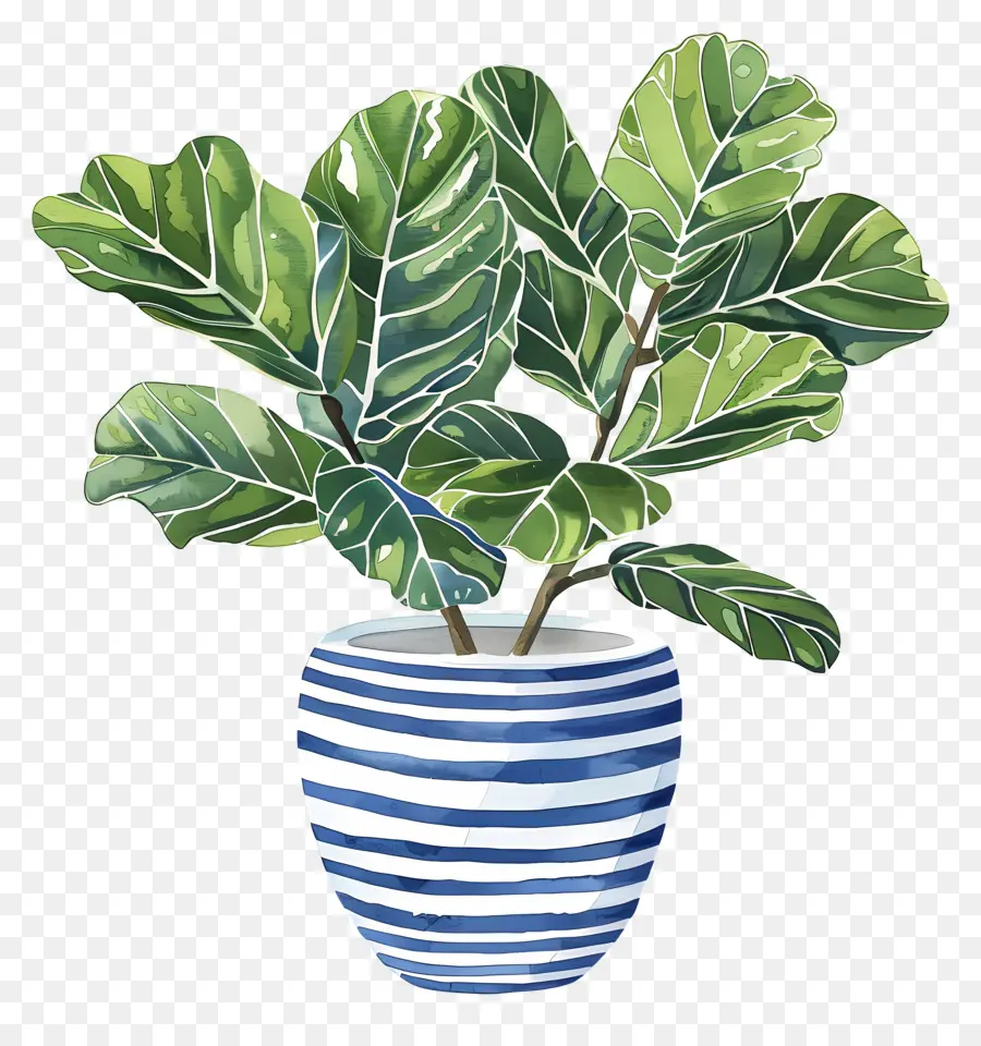 Plante En Pot，Feuilles PNG