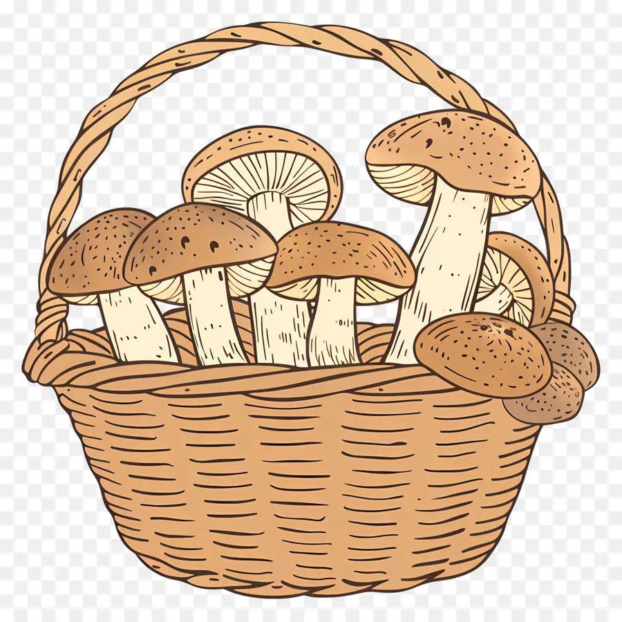 Champignons Dans Le Panier，Panier PNG