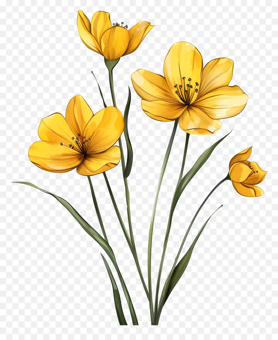 Fleurs Jaunes，Nature PNG