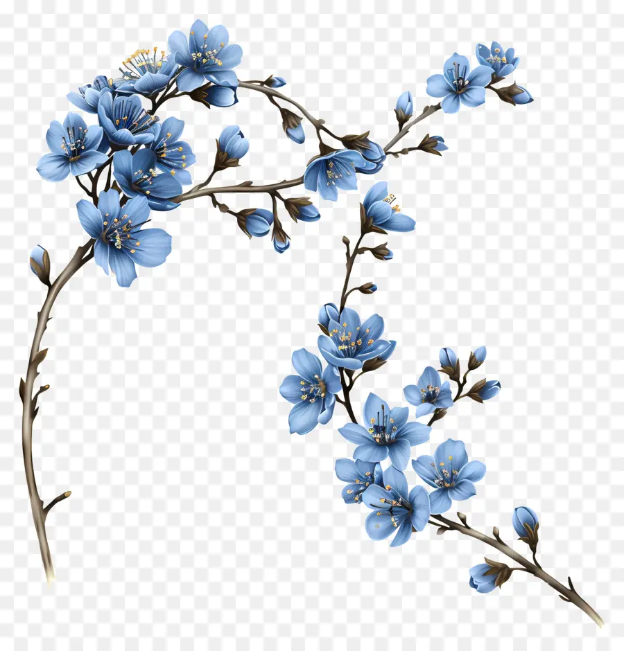 Fleurs Bleues，Bifurquer PNG