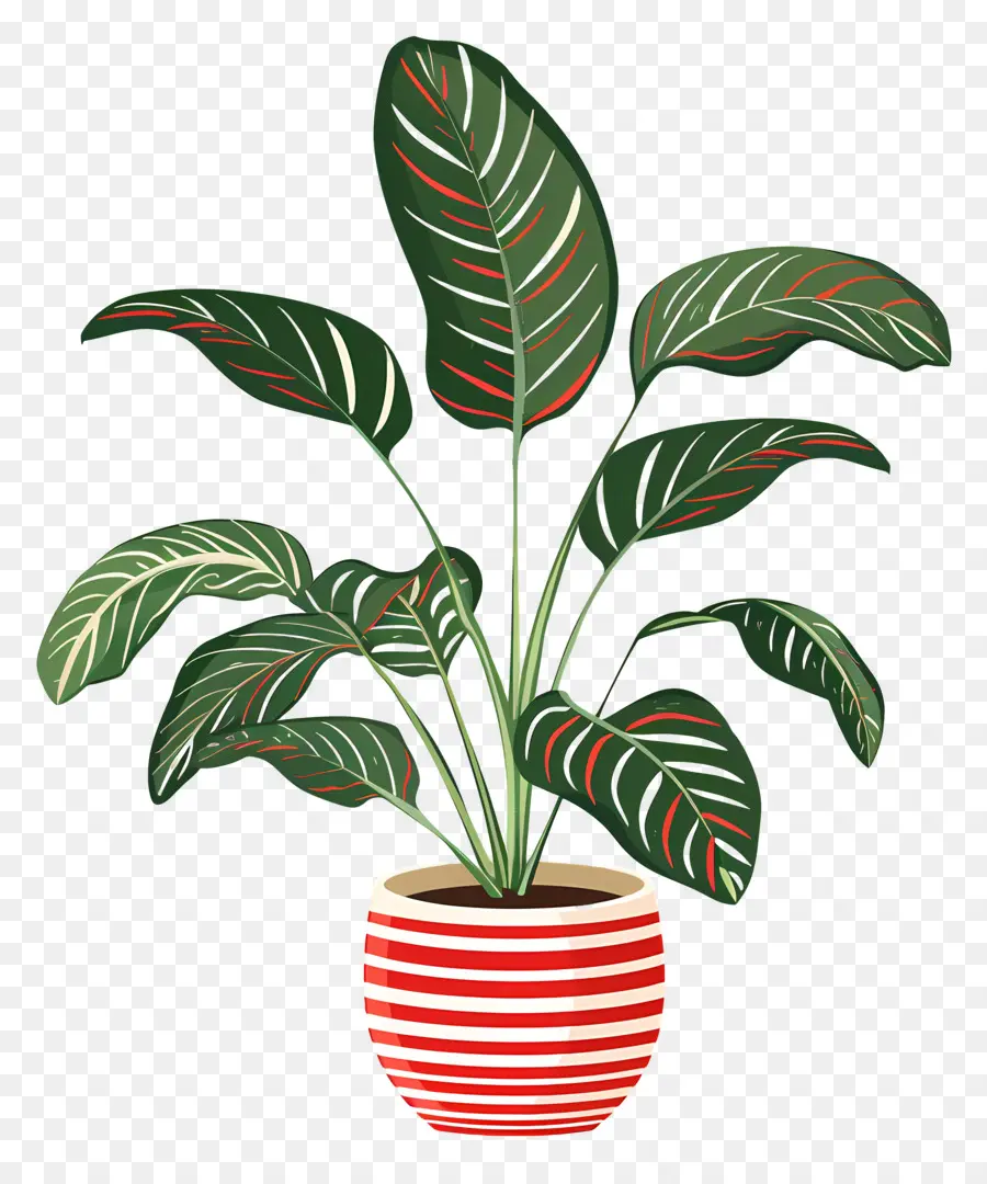 Plante En Pot，Feuilles PNG