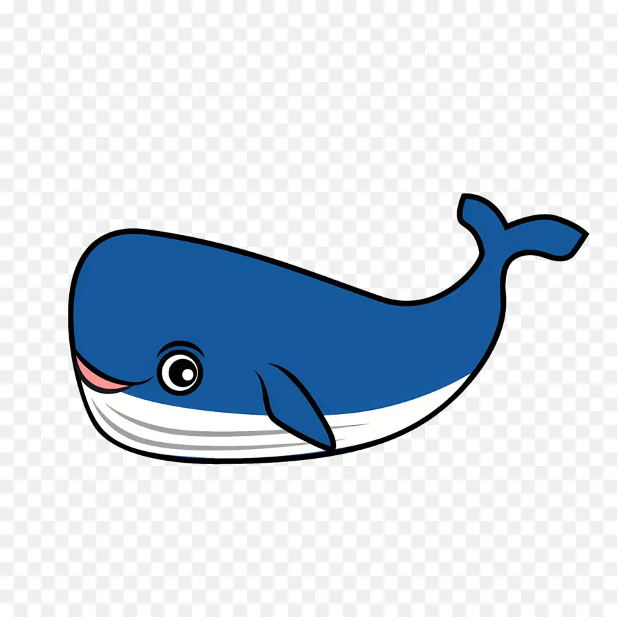 Baleine，Baleine Bleue PNG