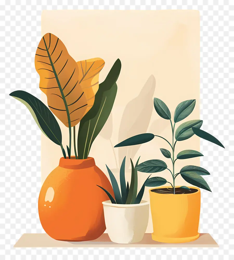 Plantes Colorées，Feuilles PNG