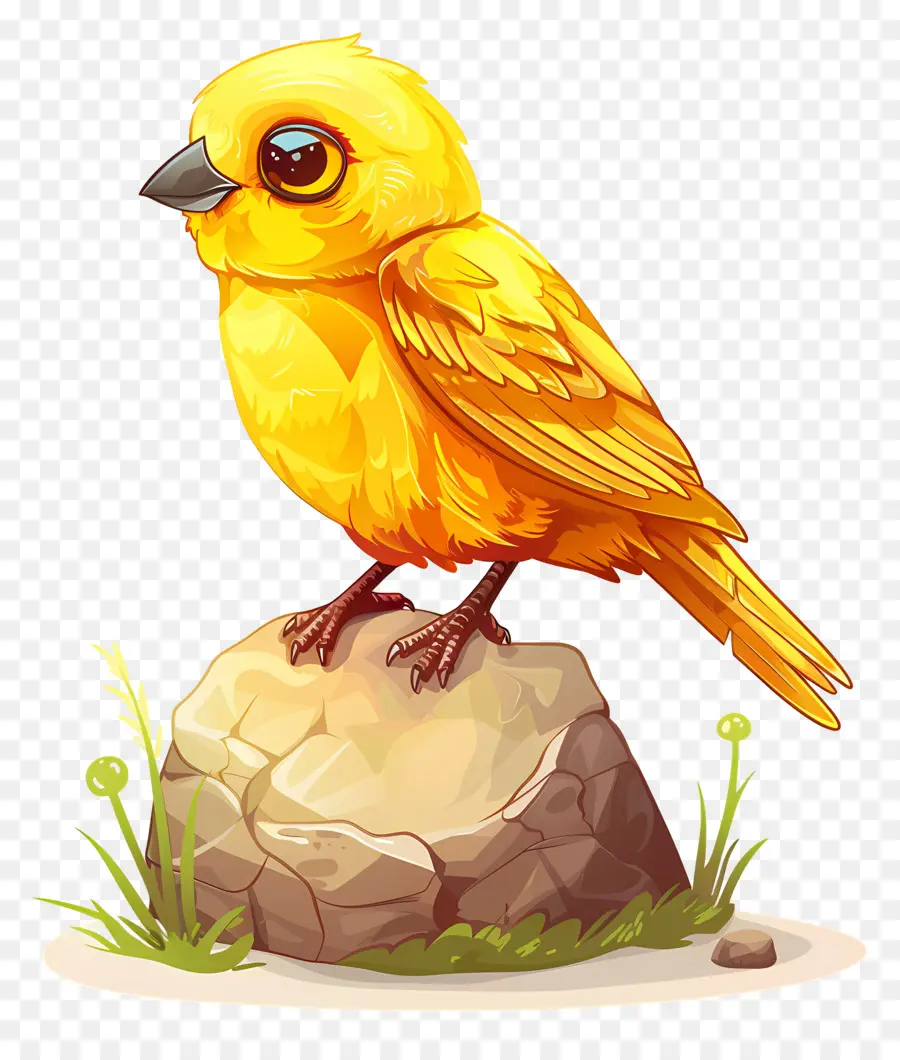 Oiseau Jaune，Perché PNG