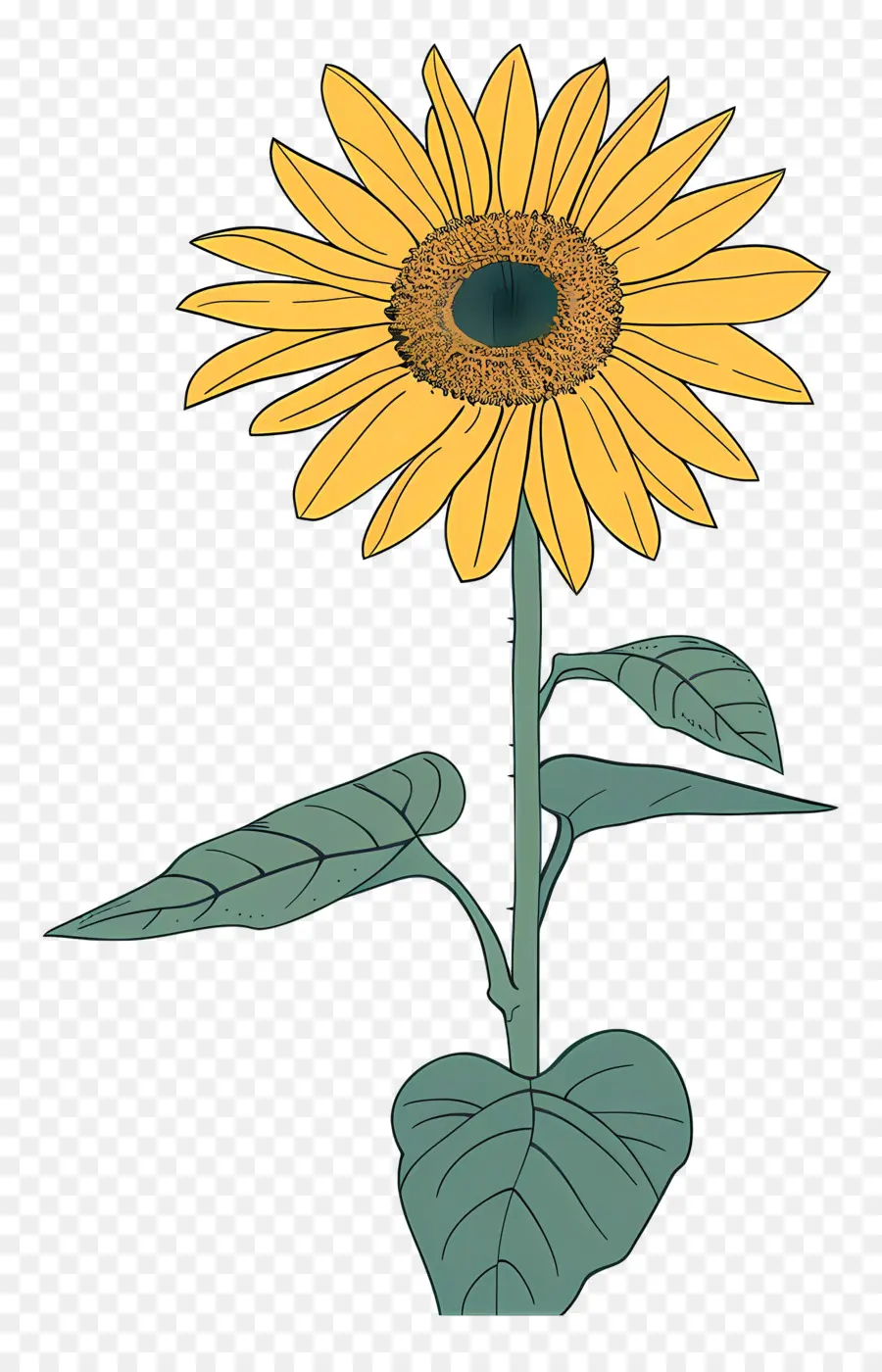 Tournesol，Jaune PNG