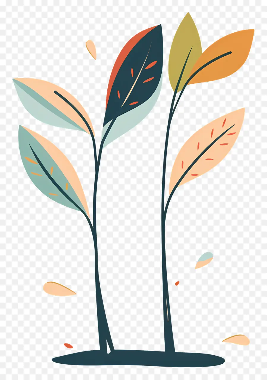 Plant，Arbre De Dessin PNG