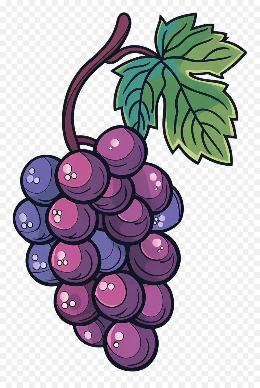 Raisins，Vigne PNG