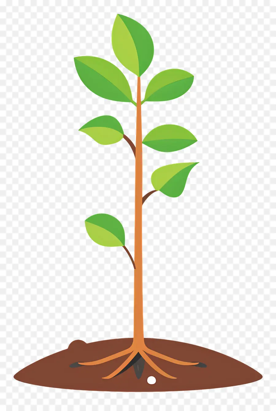 Plante Verte，Feuilles PNG