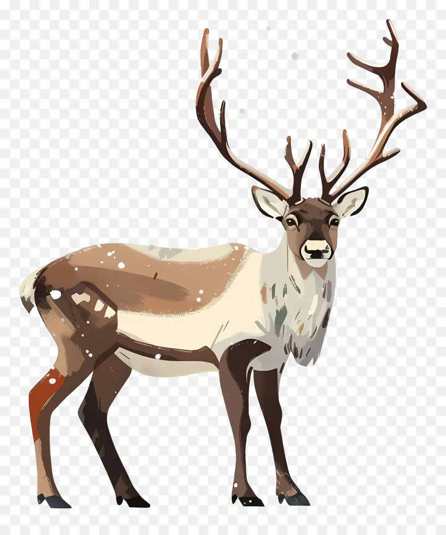 Rennes，Caribou PNG