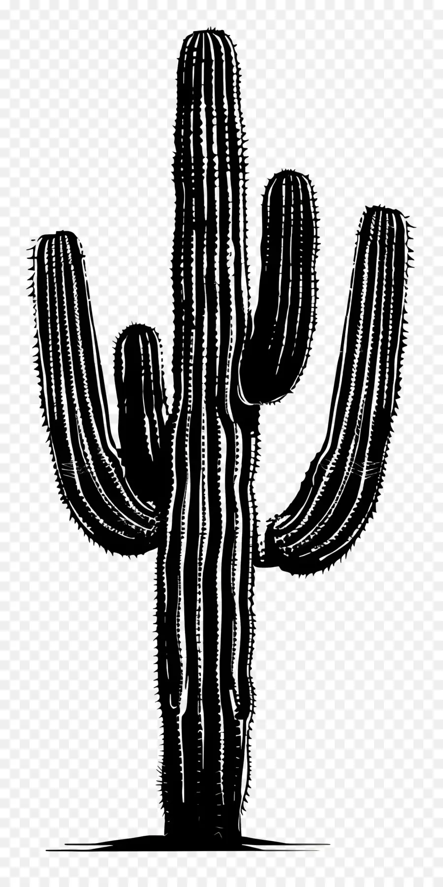 Silhouette De Cactus Saguaro，Cactus PNG