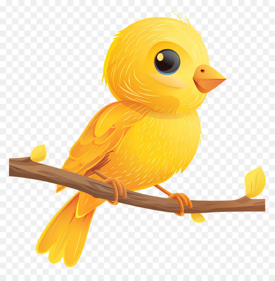 Oiseau Jaune，Perché PNG