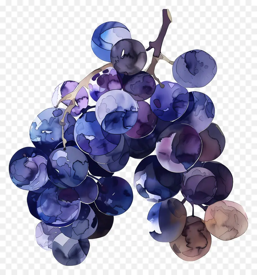 Raisins，Fruit PNG