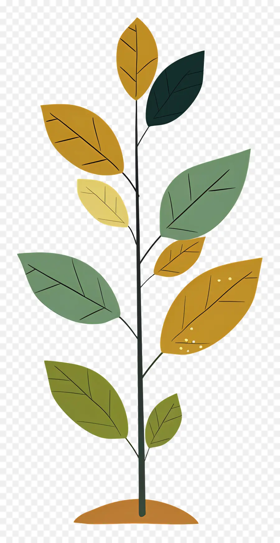 Plant，Arbre PNG