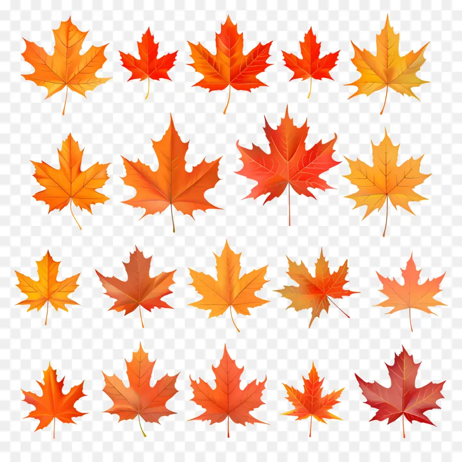 Feuilles D'automne，Automne PNG