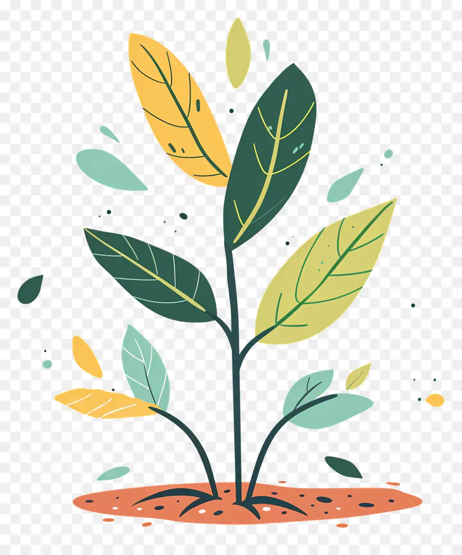 Plant，Plante PNG