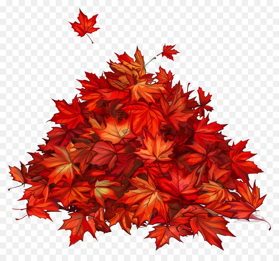 Feuilles D'érable，Feuilles Rouges PNG