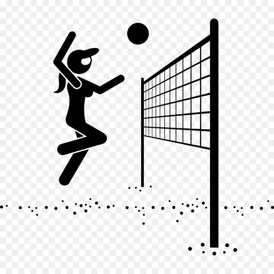 Filet De Volley Ball，Professionnel PNG