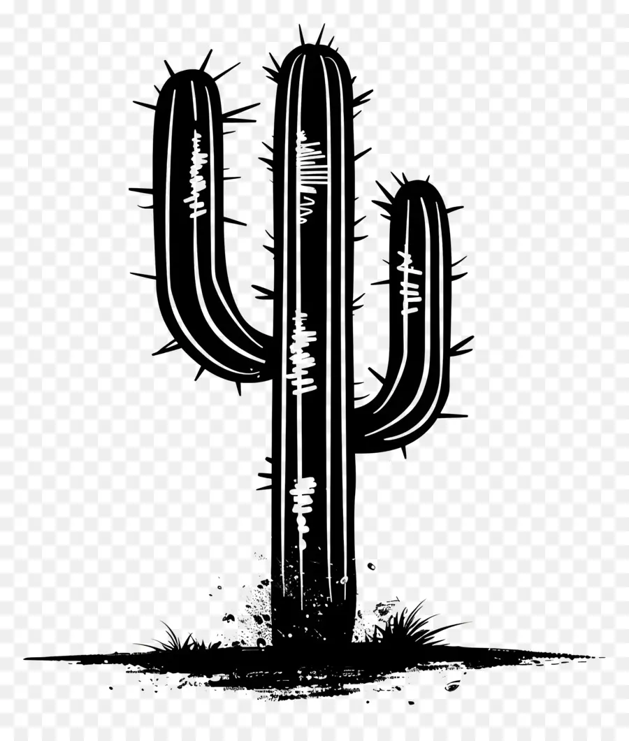 Silhouette De Cactus Saguaro，Cactus PNG