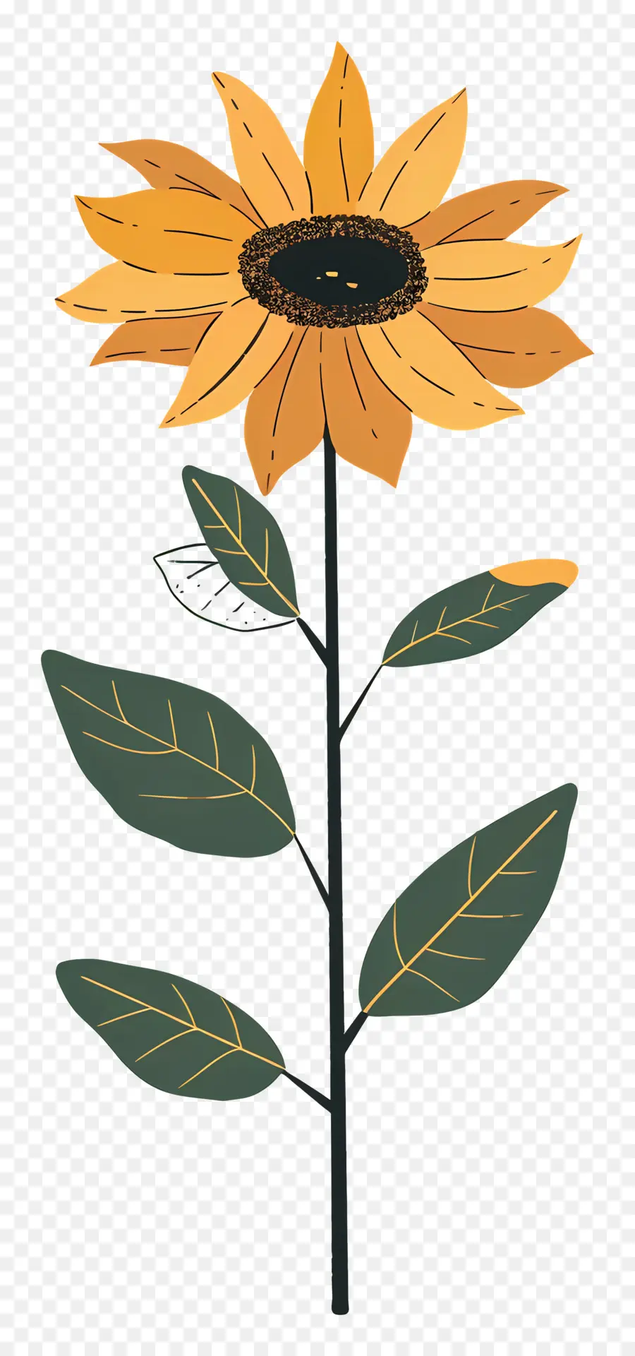 Tournesol，Fleur PNG