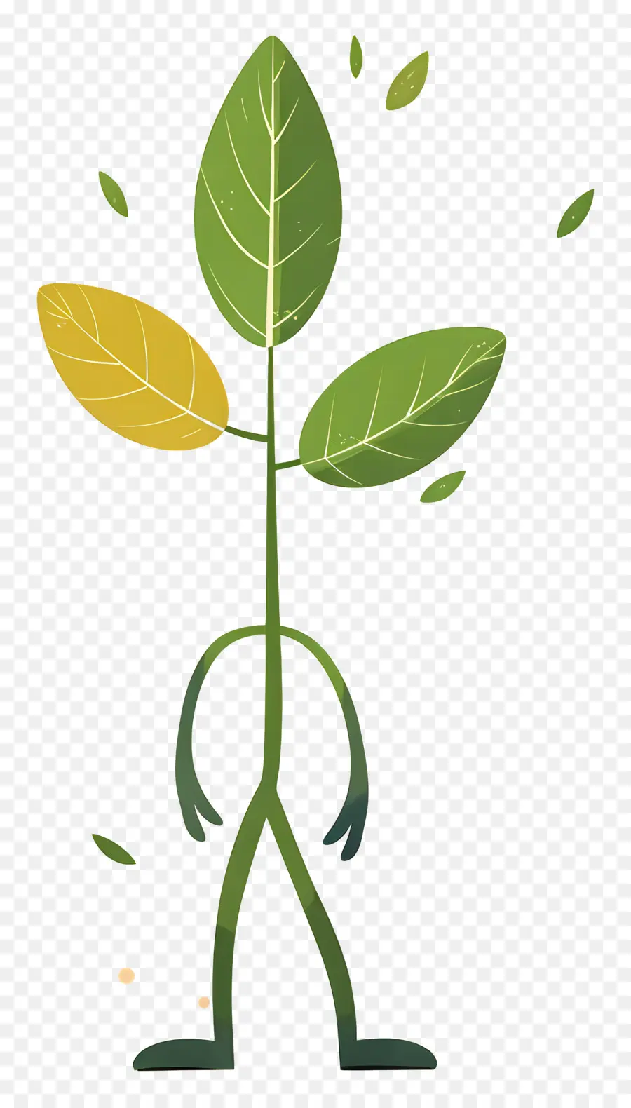 Personne Feuille，Feuilles PNG