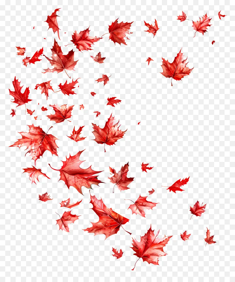 Feuilles Qui Tombent，Automne PNG