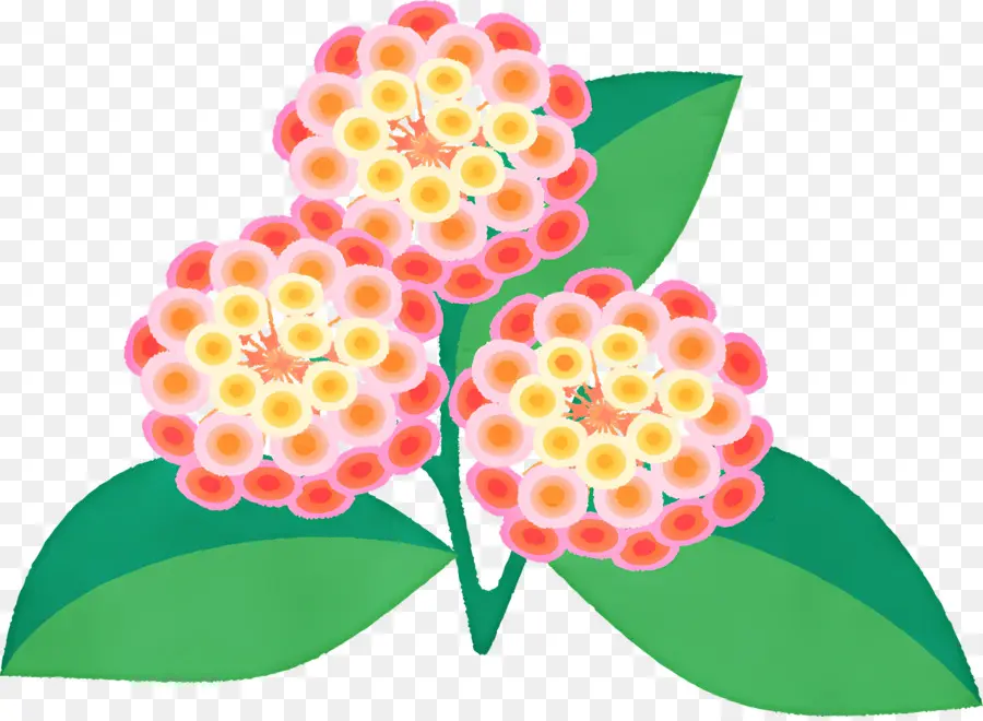 Fleur De Lantana，Fleurs Roses PNG