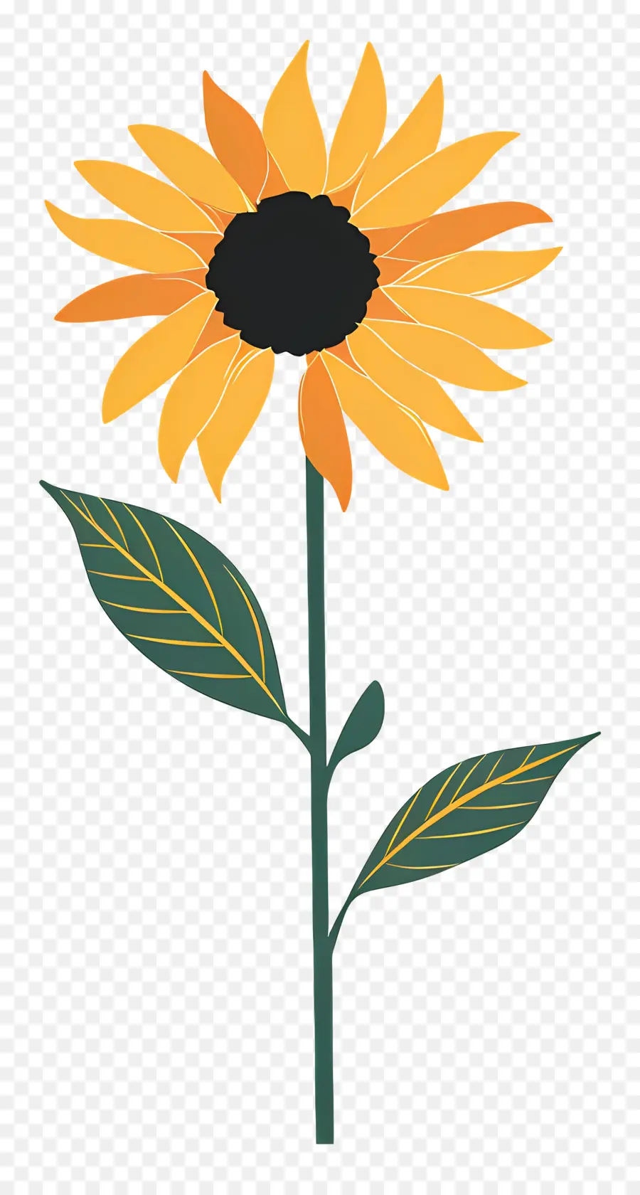 Tournesol，Marguerite PNG