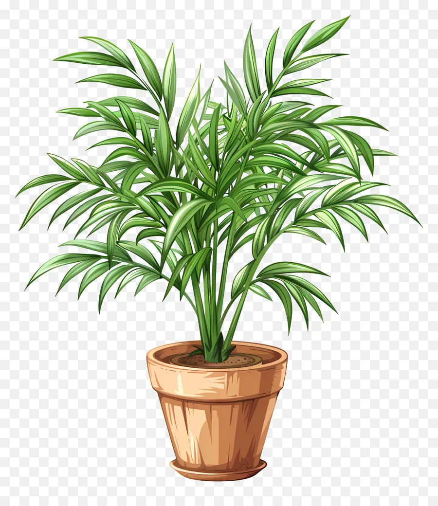 Palmier De Salon，Plante En Pot PNG