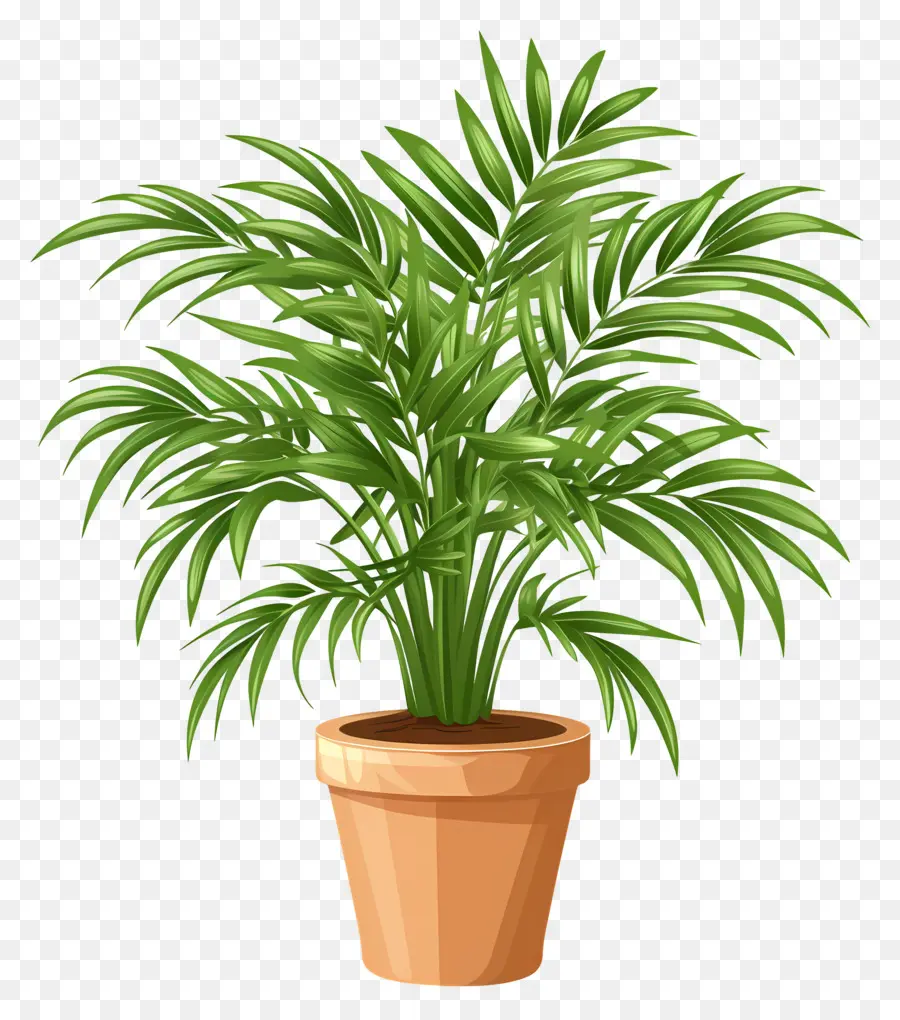 Palmier De Salon，Plante En Pot PNG