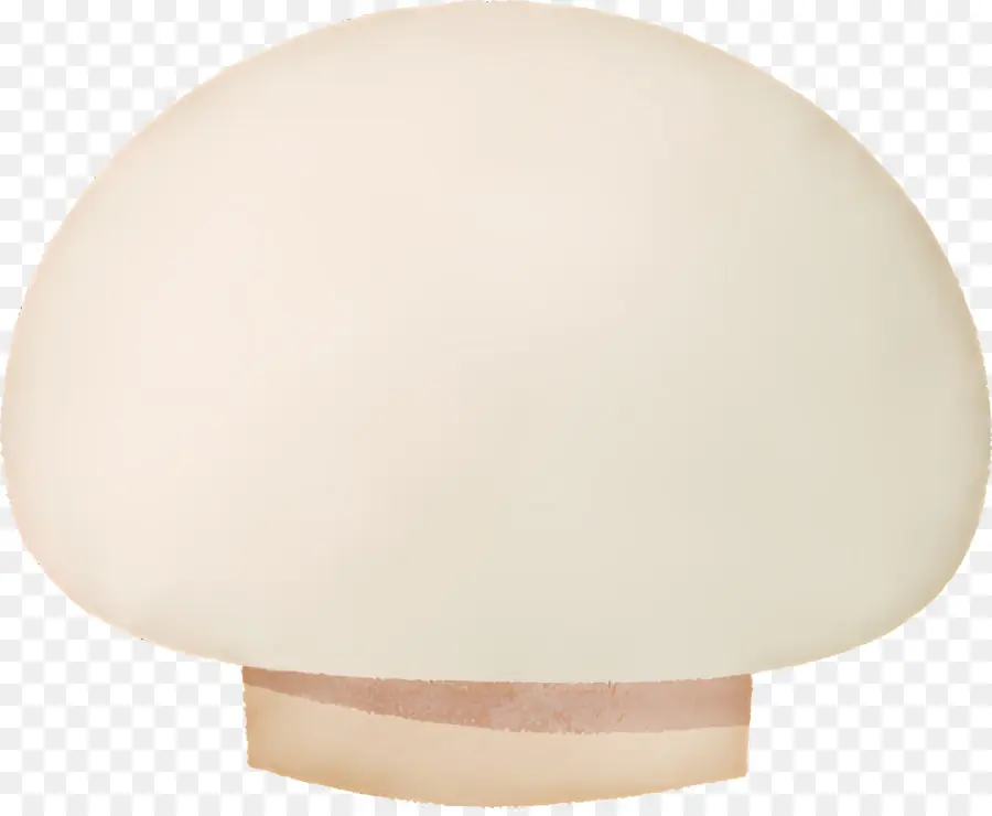 Champignons，Tige PNG