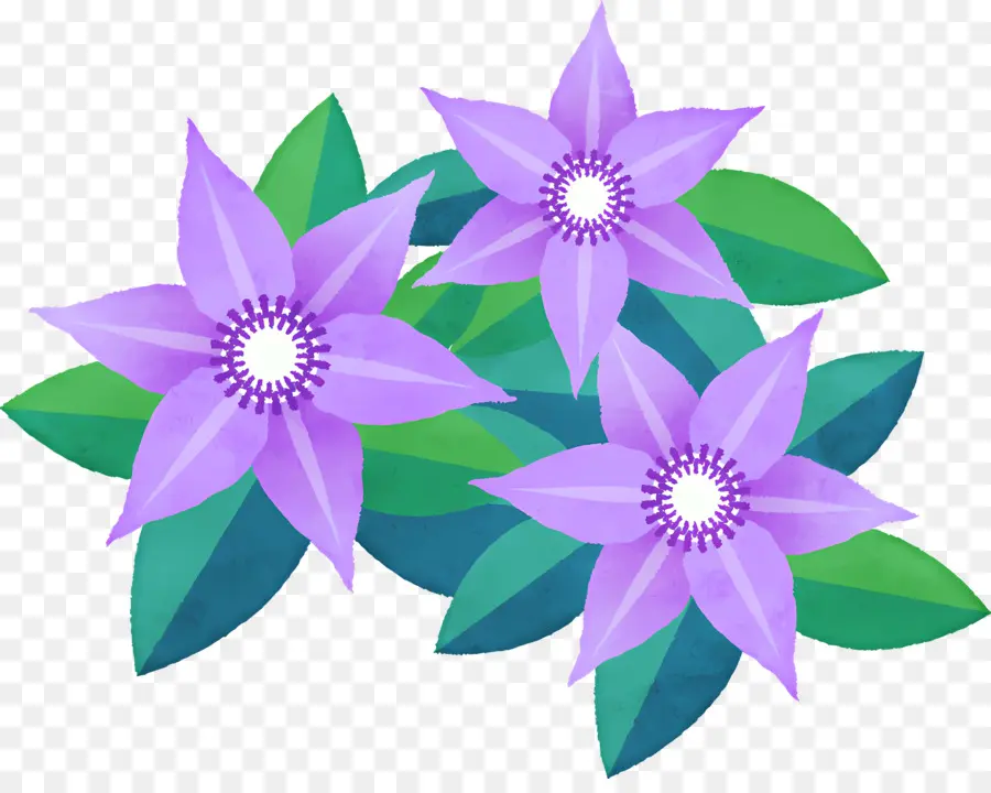 Fleur De Clématite，Fleurs Pourpres PNG