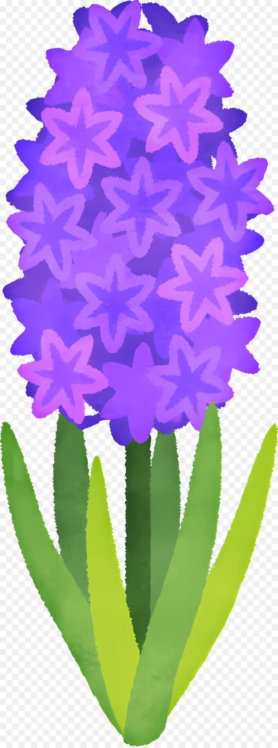 La Jacinthe D'，Fleur Pourpre PNG