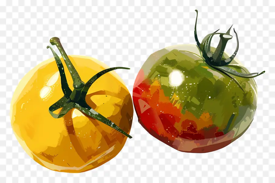 Tomates，Tomates Jaunes Et Vertes PNG